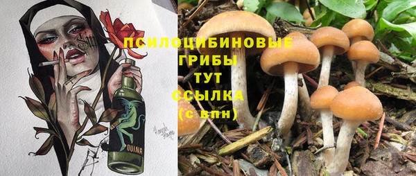 синтетический гашиш Шарыпово