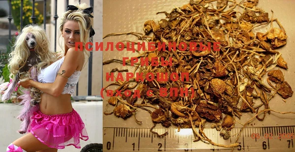 не бодяженный Дмитров