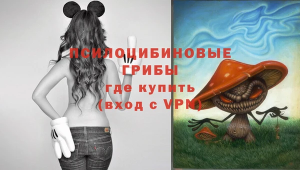не бодяженный Дмитров