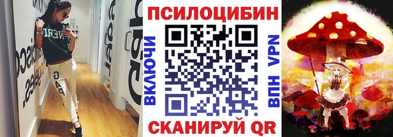 блэк спрут ССЫЛКА  где продают наркотики  Петухово  Псилоцибиновые грибы Psilocybe 